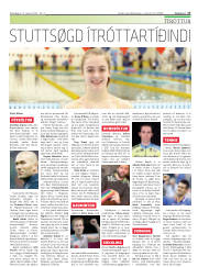 Síða 17