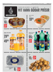 Síða 3