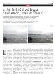Síða 19