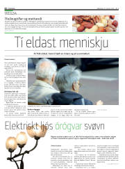Síða 22