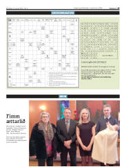 Síða 29