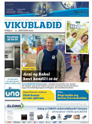 Síða 33