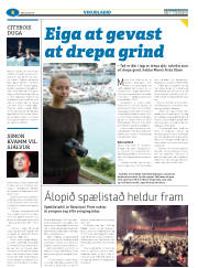 Síða 40
