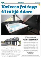 Síða 42