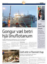Síða 61