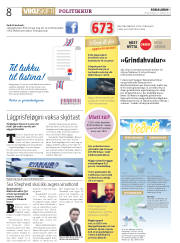 Síða 8