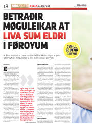 Síða 18