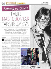 Síða 20