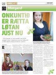 Síða 22