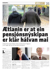 Síða 25