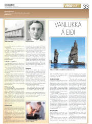 Síða 33