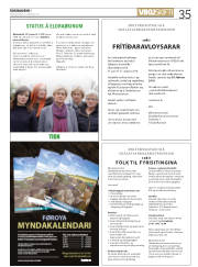 Síða 35