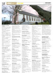 Síða 38