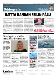Síða 2