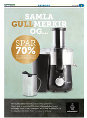 Síða 29