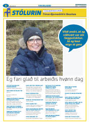 Síða 30