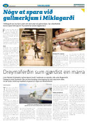 Síða 46