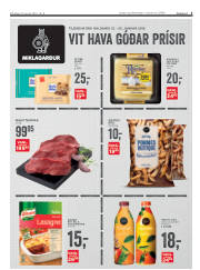 Síða 3