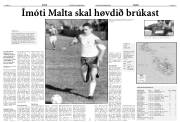 Síða 12