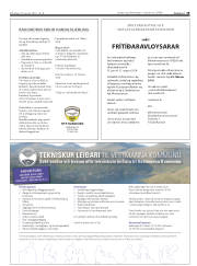 Síða 19