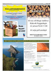 Síða 21