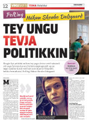 Síða 12