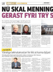 Síða 18