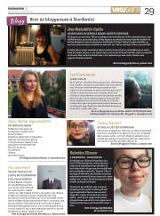 Síða 29