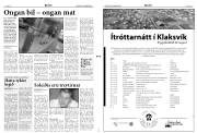 Síða 3