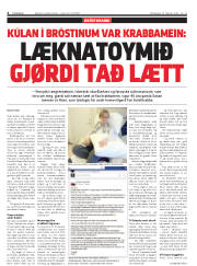 Síða 4
