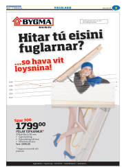 Síða 27