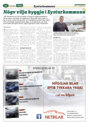 Síða 36