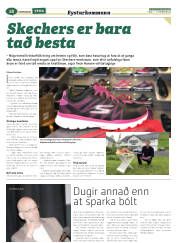 Síða 42