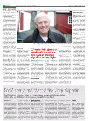 Síða 14