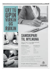 Síða 19