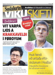Síða 21