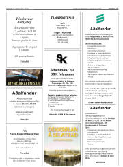 Síða 25