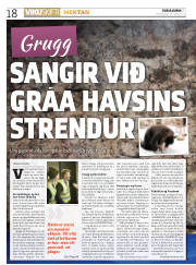 Síða 18