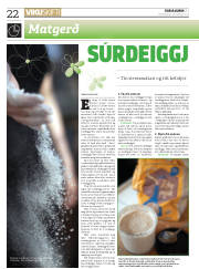Síða 22