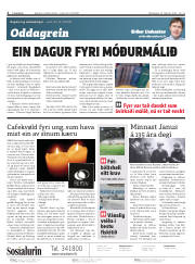 Síða 2