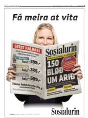 Síða 3