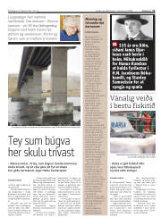 Síða 11