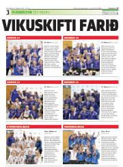 Síða 17