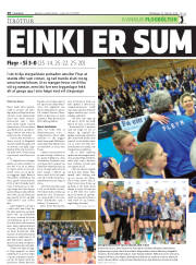 Síða 20