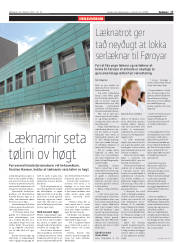 Síða 17