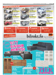 Síða 19