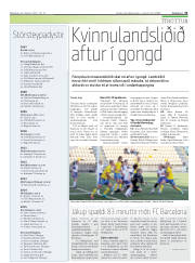 Síða 31