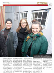 Síða 15