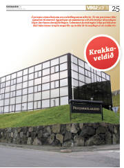 Síða 25