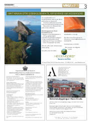 Síða 3